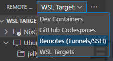 Remote Explorer Sections